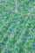 Kristy Top | Green Apple/Blue Dre