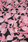 Frida Blouse | Black/Pink Rodeo