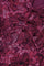 Rissy Dress | Pink Craze/Pink Darl