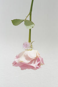 Rose Ring | Pink Rose
