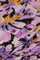 Lucky Blouse | Cookie Caramel/Grape