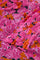Anjuna Dress | Lollipop Pink/Chili