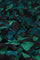 Caro Dress | Bright Teal/Tasty Te