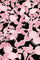 Nia Short Dress | Black/Pink Rodeo