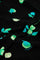Collina Blouse | Black/Green Zest