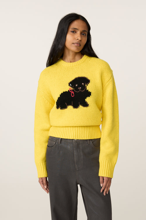 Dog Pullover | Dandelion Yellow
