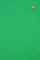 Tanja T-shirt | Green Apple